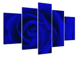 Detail modré růže - obraz (150x105cm)