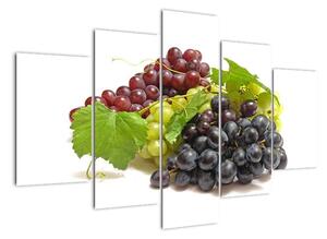 Hroznové víno - obrazy (150x105cm)