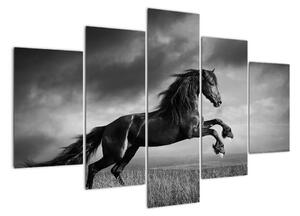 Obraz koně na stěnu (150x105cm)
