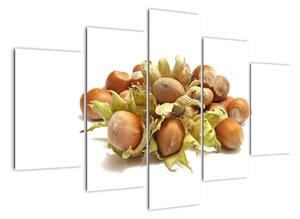 Lískové ořechy - obrazy (150x105cm)