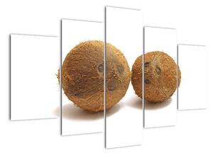 Kokosový ořech, obraz (150x105cm)