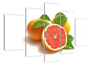 Grapefruit, obraz (150x105cm)