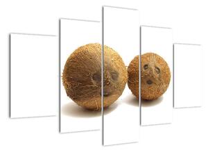 Kokosový ořech, obraz (150x105cm)