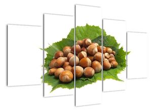 Lískové ořechy, obraz (150x105cm)