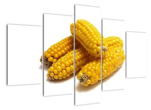 Kukuřice, obraz (150x105cm)