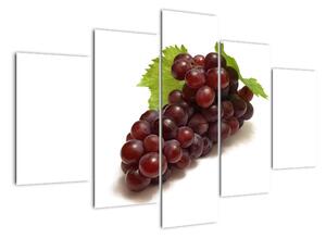 Hroznové víno, obraz (150x105cm)