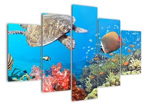 Podmořský svět, obraz (150x105cm)