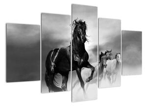 Černobílý obraz koňů (150x105cm)