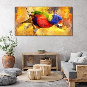 Obraz na plátně Obraz na plátně Pobočka zvířecí pták papouška