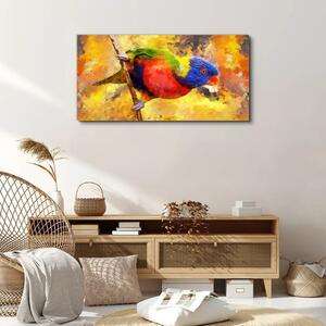 Obraz na plátně Obraz na plátně Pobočka zvířecí pták papouška