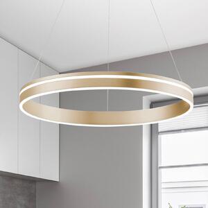 Q-Smart-Home Paul Neuhaus Q-VITO LED závěsné světlo, 1 kruh, stmívatelný, Mosaz / zlato, Obývací pokoj / jídelna, kov, Moderní