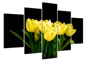 Tulipány - obraz (150x105cm)
