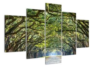 Aleje stromů - obraz (150x105cm)