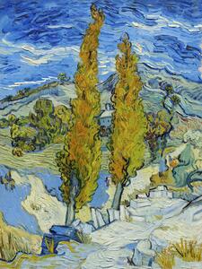 Obrazová reprodukce The Poplars at Saint-Rémy (1889), Vincent van Gogh