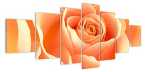 Obraz oranžové růže (210x100cm)