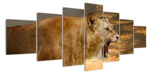 Obraz řvoucího lva (210x100cm)