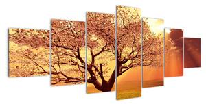 Obraz přírody - strom (210x100cm)