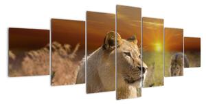Obrazy zvířat (210x100cm)