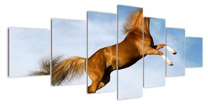 Obraz koně na zadních (210x100cm)