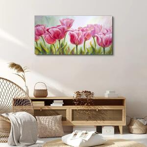 Obraz na plátně Obraz na plátně Květiny rostlin