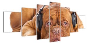 Moderní obraz - pes se sluchátky (210x100cm)