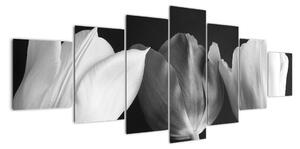 Černobílý obraz - tři tulipány (210x100cm)