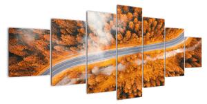 Cesta lesem - moderní obrazy na zeď (210x100cm)