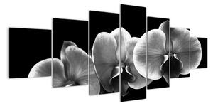 Černobílý obraz - orchidej (210x100cm)