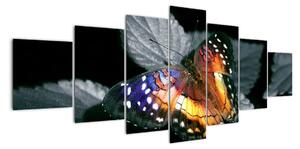 Motýl na listu - obraz (210x100cm)