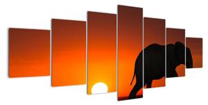 Obraz slona v zapadajícím slunci (210x100cm)