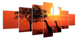 Obraz žirafy při západu slunce (210x100cm)