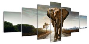 Obraz kráčejícího slona (210x100cm)