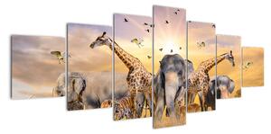 Obraz - safari (210x100cm)