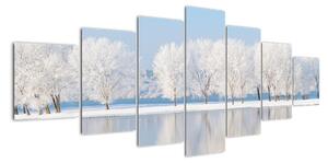 Obraz - zimní příroda (210x100cm)