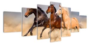 Moderní obraz koní (210x100cm)