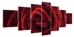 Obraz rudé růže (210x100cm)