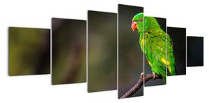 Obraz zeleného papouška (210x100cm)