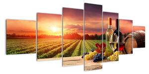 Obraz - víno a vinice při západu slunce (210x100cm)