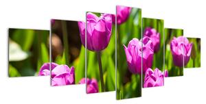 Obraz kvetoucích tulipánů (210x100cm)