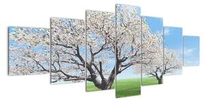 Obraz kvetoucího stromu na jarní louce (210x100cm)