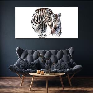 Obraz na plátně Obraz na plátně Zebra Animal Strips