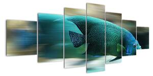 Obraz na stenu - ryby (210x100cm)