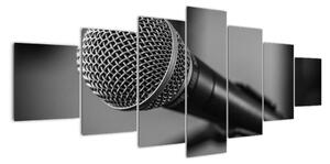 Obraz mikrofonu (210x100cm)
