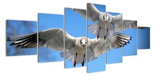 Obraz do bytu - ptáci (210x100cm)