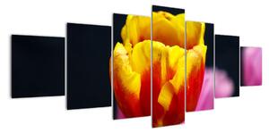 Obraz tulipánu (210x100cm)