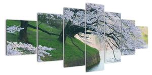 Obraz kvetoucích stromů (210x100cm)