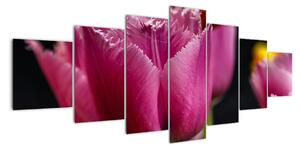 Tulipány - obrazy (210x100cm)