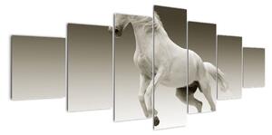 Obrazy bílého koně (210x100cm)