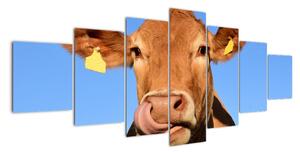 Obraz krávy (210x100cm)