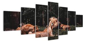Obrazy - lvi v lese (210x100cm)